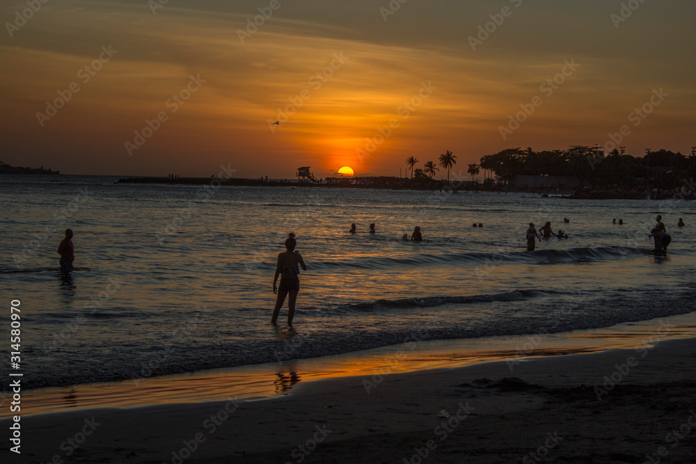 People swimming in sunset