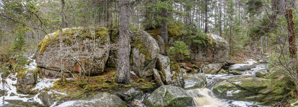 Fototapeta premium Panorama Brook Falls in Deep Forest