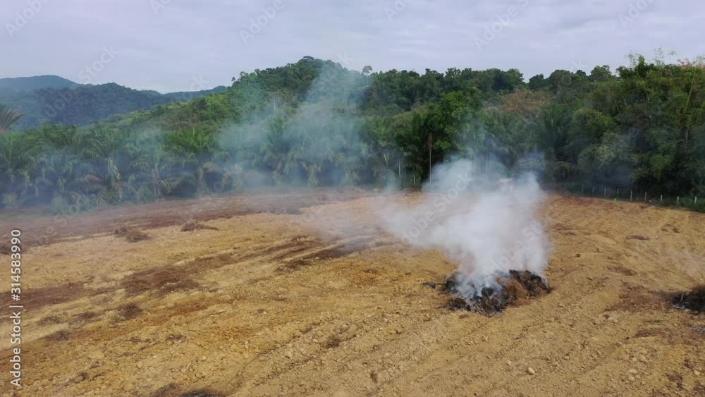 Deforestation. Land cleared and burned to make way for palm oil plantation Deforestation. Land cleared and burned to make way for palm oil plantation