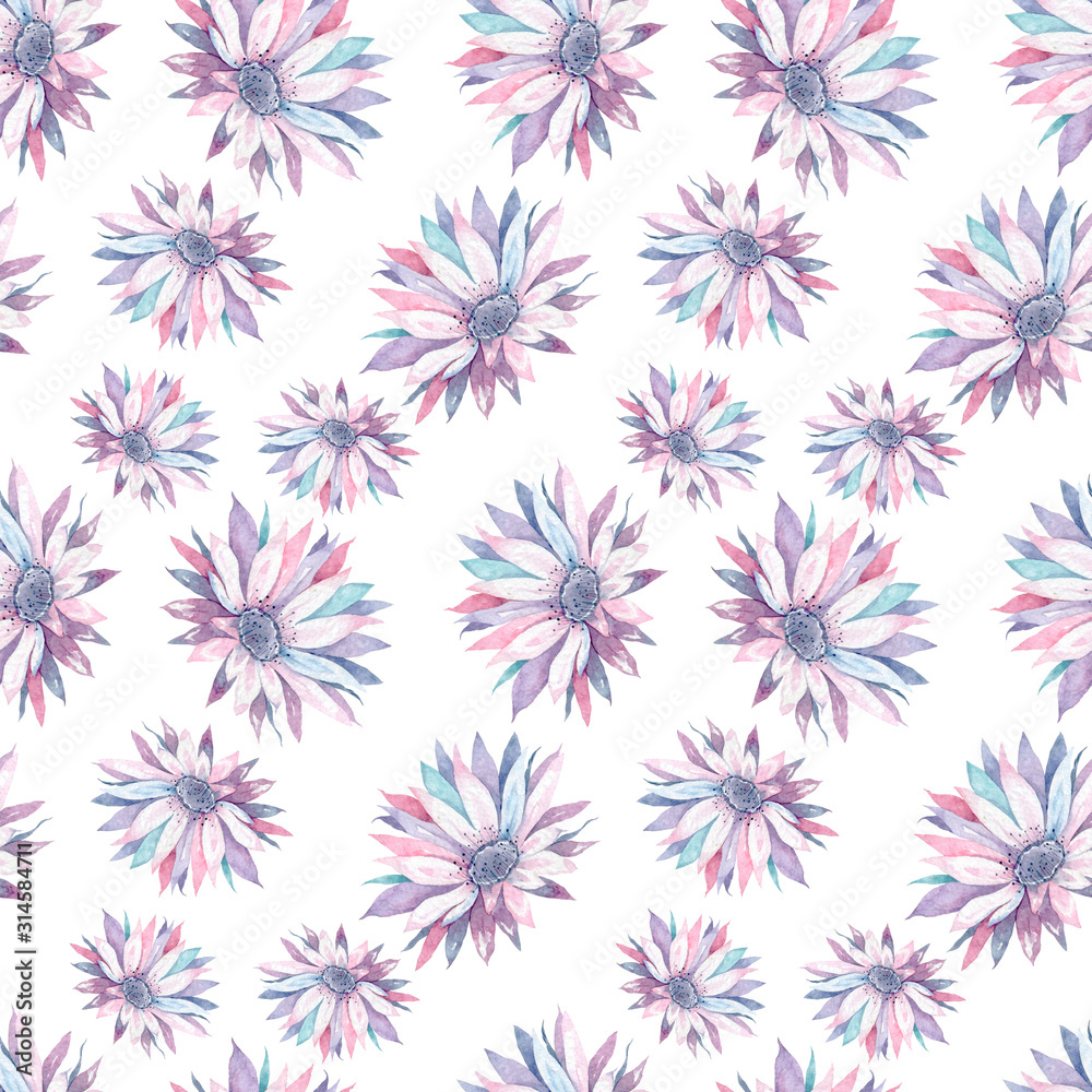 Beautiful soft pink cactus flower seamless pattern, isolated on white background. Adorable pink colorful watercolor flowers. Fashion style for frabric, textile Beautiful soft pink cactus flower seamless pattern, isolated on white background. Adorable pink colorful watercolor flowers. Fashion style for frabric, textile