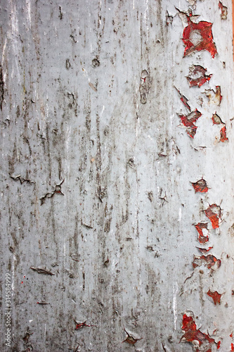 Wallpaper Mural Authentic Industrious Rustic Texture. Rusty, Grungy, Gritty Vintage Background. Torontodigital.ca