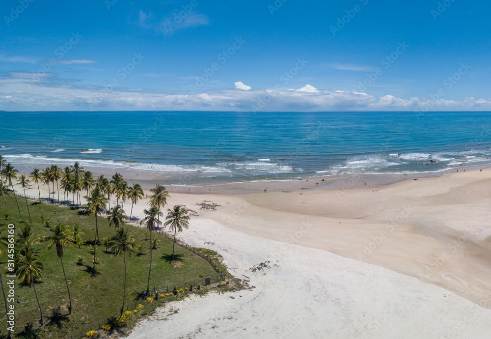 Aerial drone view of tropical landscape with beach with coconut trees