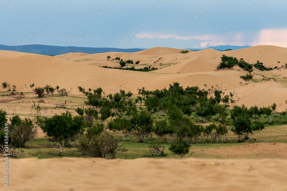 View of desert in Gobi, Mongolia. 