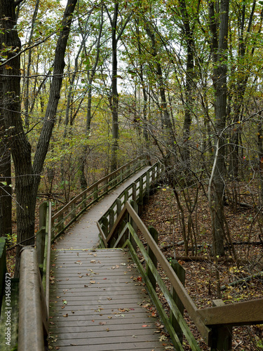 Daytime photo of a deck walkway running through a forest in Indiana Dunes National Park
