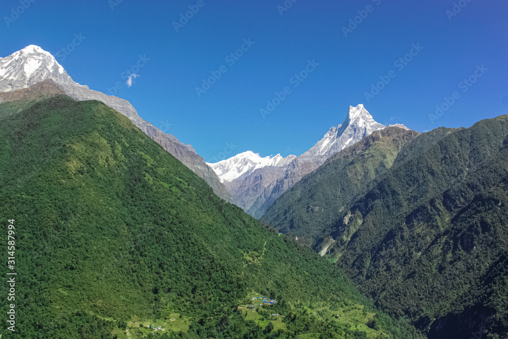 Naklejka premium Vivid Scenery of Forest Freshness Along the Mountain Valley