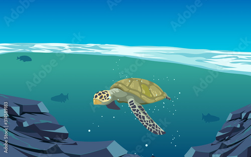 Sea turtle swimming in the sea	