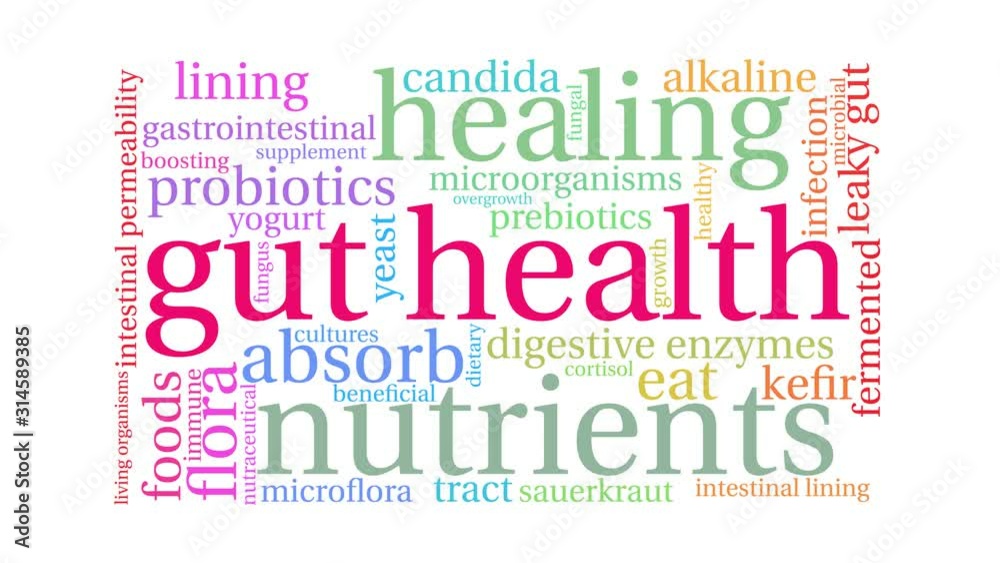 Gut Health Animated Word Cloud on a white background. Gut Health Animated Word Cloud on a white background.