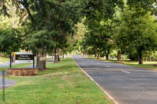 Tree lined road leading into the country town of Harrietville in the alpine high country region in Victoria Australia
