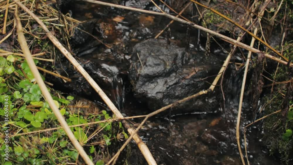 A small river with a rock in Romanian mountains forest A small river with a rock in Romanian mountains forest
