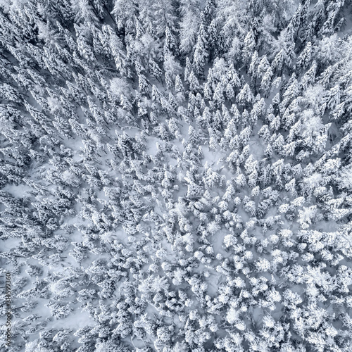 Aerial winter view of snowy wood covered by fresh snow. Winter background