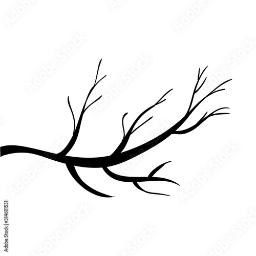 tree branch plant isolated icon