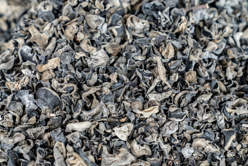 A pile of black fungus