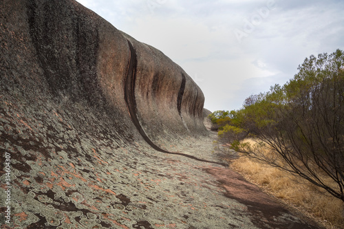 Wave Rock at sunset, Pildappa Rock, South Australia photo