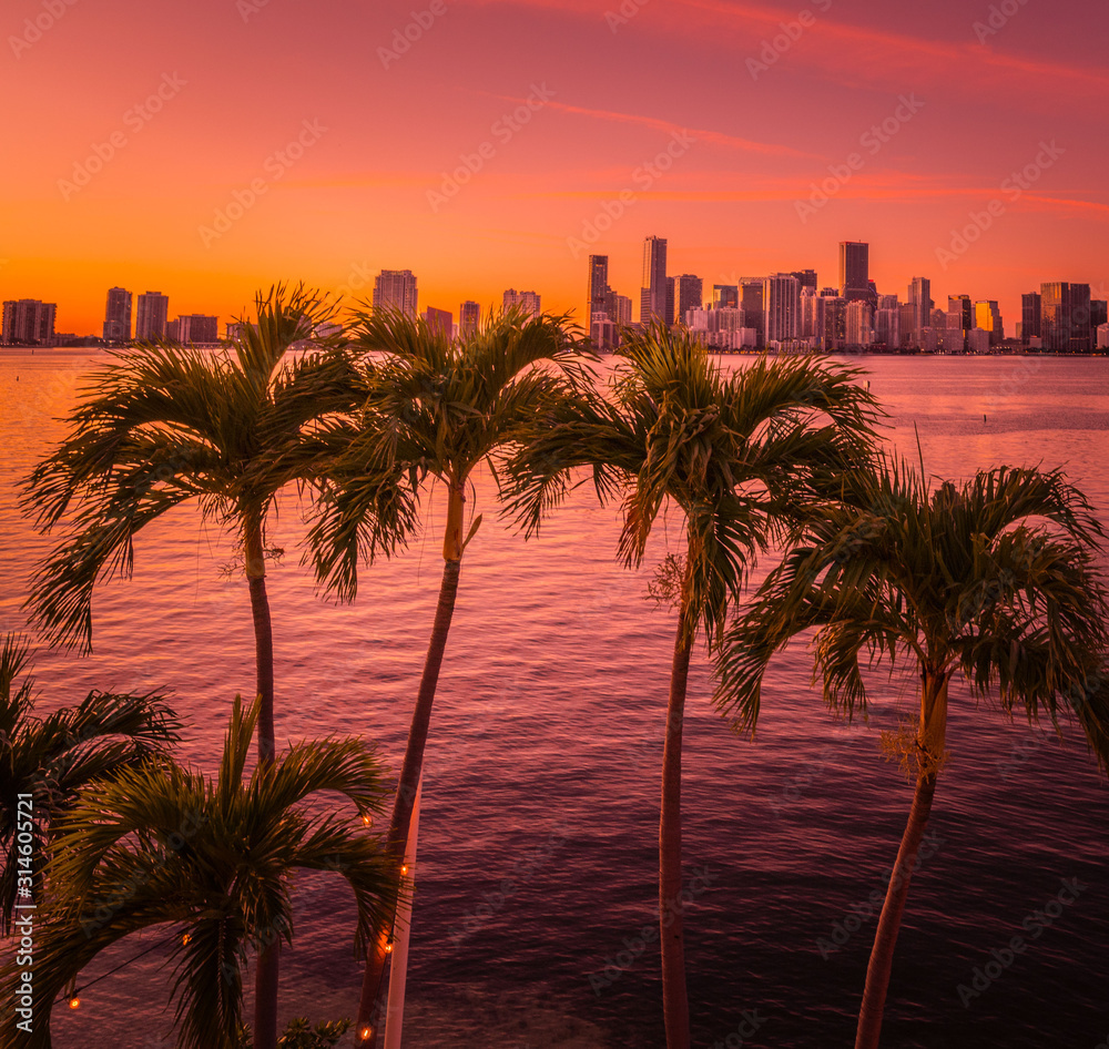 palms tree city miami sea beach sky sunset tropical sunrise nature sun island ocean orange