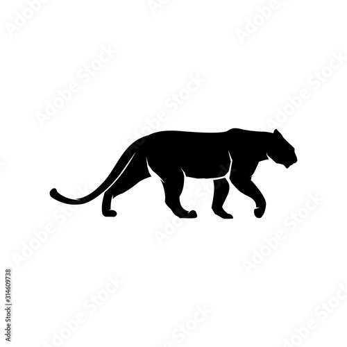 lion  tiger  jaguar  panther  cheetah vector black white background