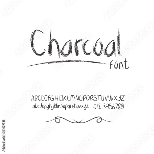charcoal hand draw typography vector