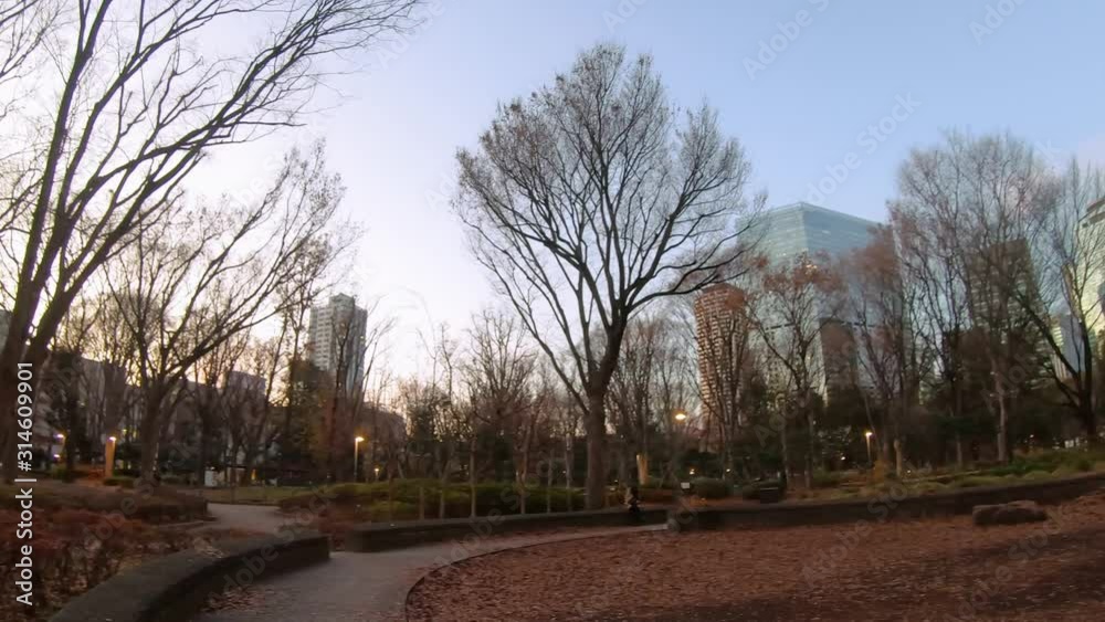 Twilight Panning Shot Of Shinjuku Chuo Park. Tokyo, Japan Twilight Panning Shot Of Shinjuku Chuo Park. Tokyo, Japan