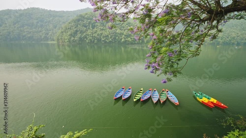 Jacaranda bloom, coloured boats on smooth Phewa lake, Pokhara Lakeside, Nepal photo