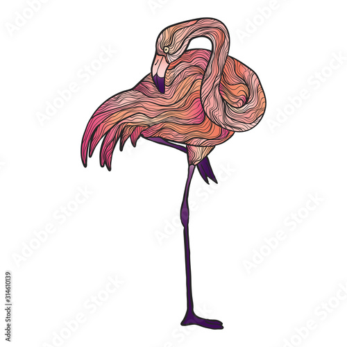 Vector hand drawn bright flamingo illustration isolated on white background. Stock vector illustration of pink bird in modern style. Colorful pink flamingo summer illustration.