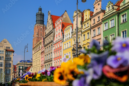 St. Elizabeth's Church tower overlooking some colorful buildings on Wroclaw's market square in Poland with a flower bed in the foreground