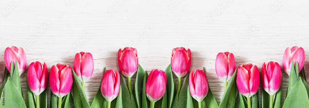 Fototapeta premium Piękne różowe tulipany na podłoże drewniane.