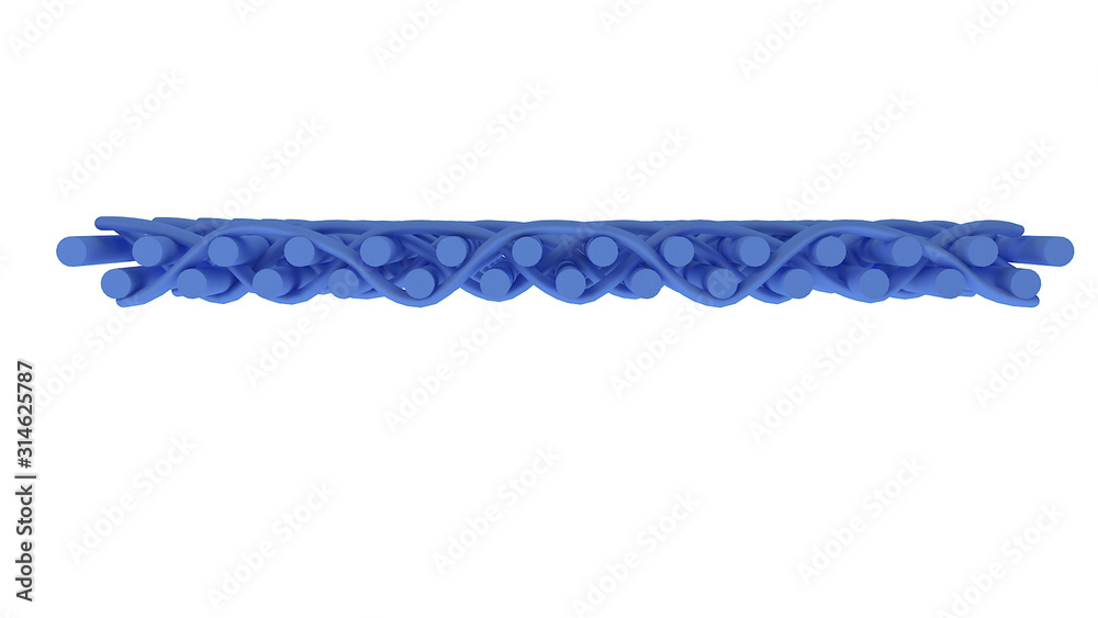 3D Images for Felt and Paper Industries 3D Images for Felt and Paper Industries