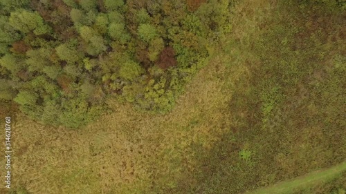 Wallpaper Mural landscape autumn forest and field top view Torontodigital.ca