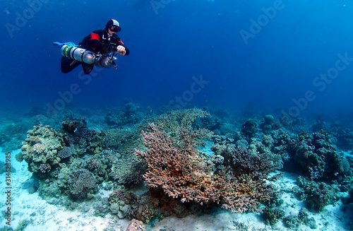 Wallpaper Mural Scuba Diving Red Sea Egypt Torontodigital.ca