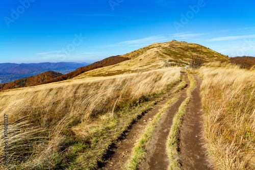 Fototapeta Naklejka Na Ścianę i Meble -  Bieszczady - mountains in Poland