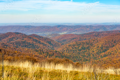 Fototapeta Naklejka Na Ścianę i Meble -  Bieszczady - mountains in Poland covered with forest