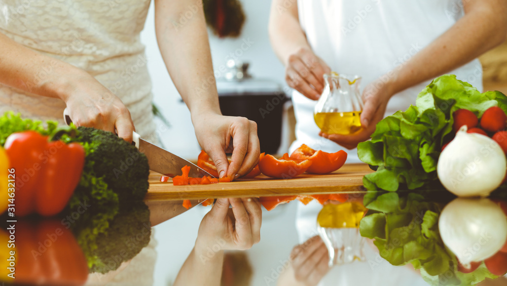 Closeup of human hands cooking in kitchen. Mother and daughter or two female friends cutting vegetables for fresh salad. Friendship, family dinner and lifestyle concepts