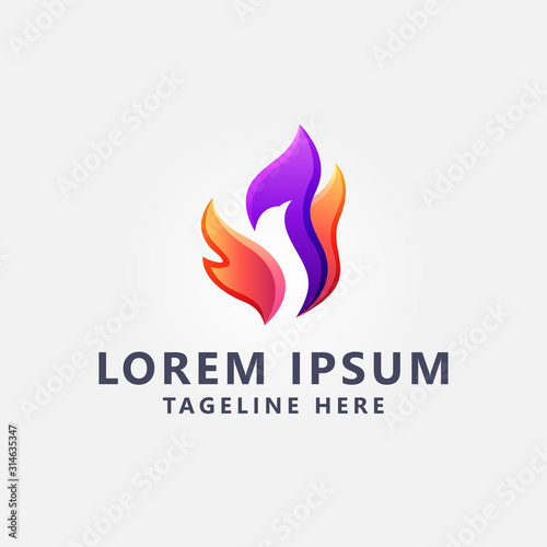 Premium Colorful Eagle  logo design Vector