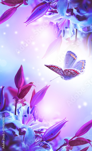 Dreamy spring lily bloom, butterfly close-up, vertical panorama. Spring floral mixed media art. Artistic toned image. Pastel purple pink toned. Macro with soft focus. Nature greeting card background © tainar