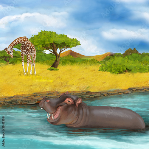 cartoon scene with hippopotamus hippo swimming in river near the meadow and giraffes resting illustration for children