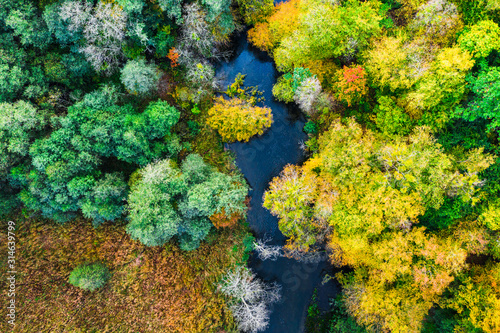 Top down view of colorful forest and river in autumn