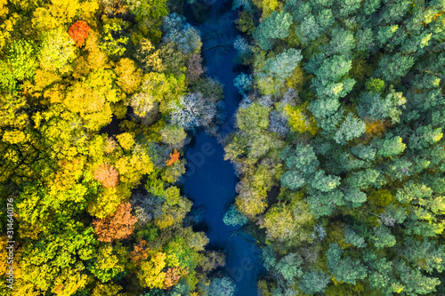 Aerial view of river and forest in autumn