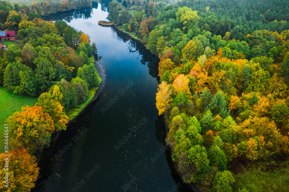 Aerial view of river and yellow autumn forest