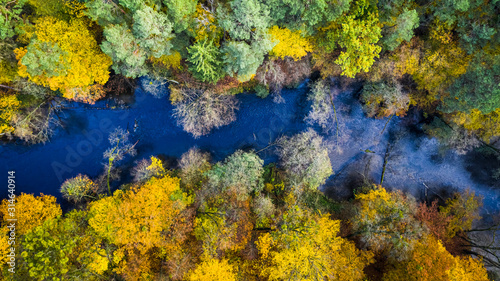 Blue river and autumn forest, view from above