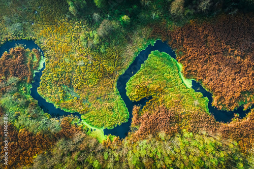 Top down view of river and swamps in autumn, Poland