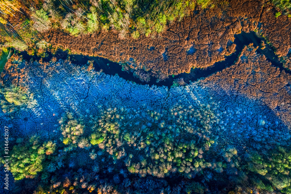 Blue and brown swamp in autumn, view from above