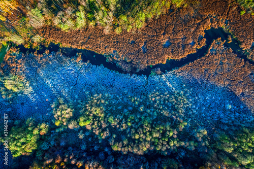 Blue and brown swamp in autumn, view from above
