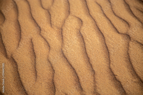 scale backgrounds of desert and dunes, Dubai, Emirates