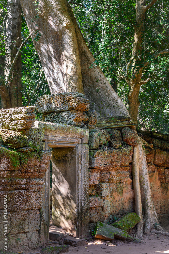 Ta Prohm temple at Angkor Wat complex, Siem Reap, Cambodia Ta Prohm temple at Angkor Wat complex, Siem Reap, Cambodia