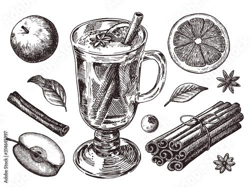 Set of mulled wine, fruit and spices, hand drawn illustrations