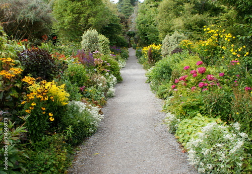 path in the beautiful Eden gardens at Garnish island, Ireland photo