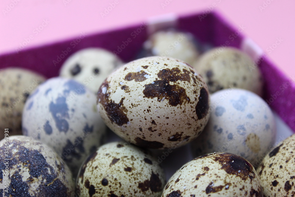 Obraz premium A bunch of quail eggs lies in a box