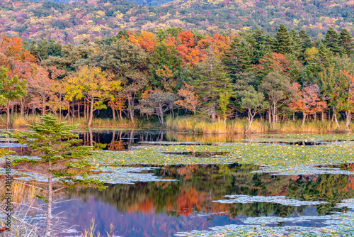 北海道　知床五湖と紅葉の風景 © dah_keni