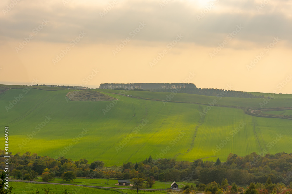 Obraz premium 夕方の北海道の牧場