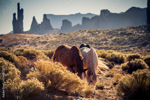 Horses in Monument Valley