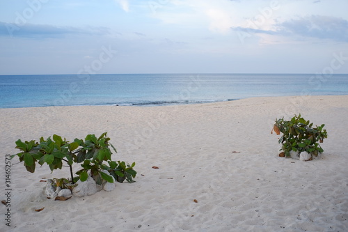 Kita beach is clean and calm with white sand, Mananga Aba, Southwest Sumba, NTT, Indonesia.